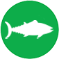 BonyFish