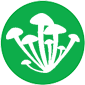 Fungi