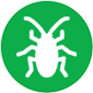 Insects