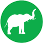 Mammals